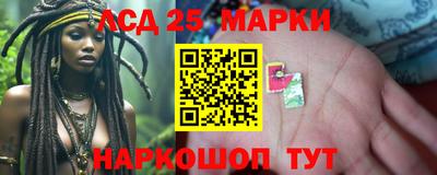 шишки Кинель
