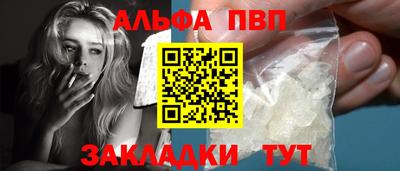 молекула духа Кингисепп