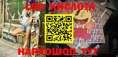 молекула духа Кингисепп