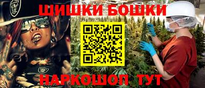молекула духа Кингисепп