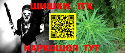 молекула духа Кингисепп