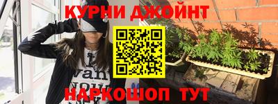 шишки Кинель