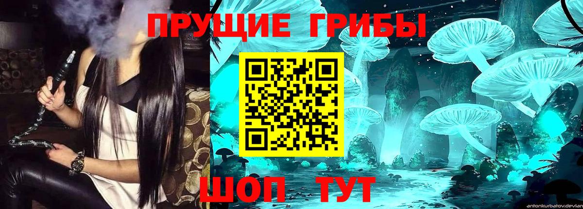 Галлюциногенные грибы Magic Shrooms  Вход с VPN  Куйбышев 