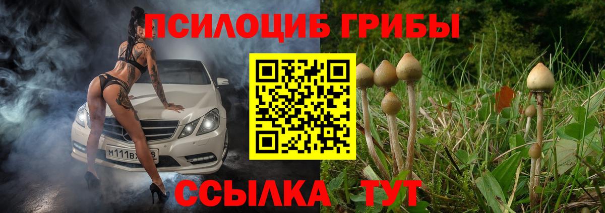 Галлюциногенные грибы Psilocybe Куйбышев